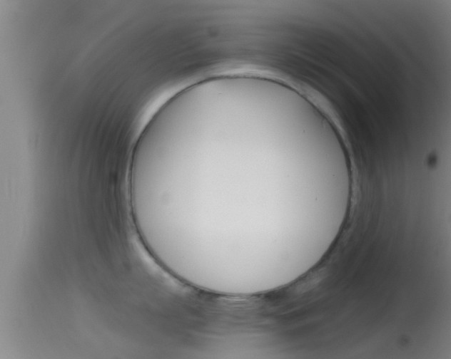 X0000114390863200910161031