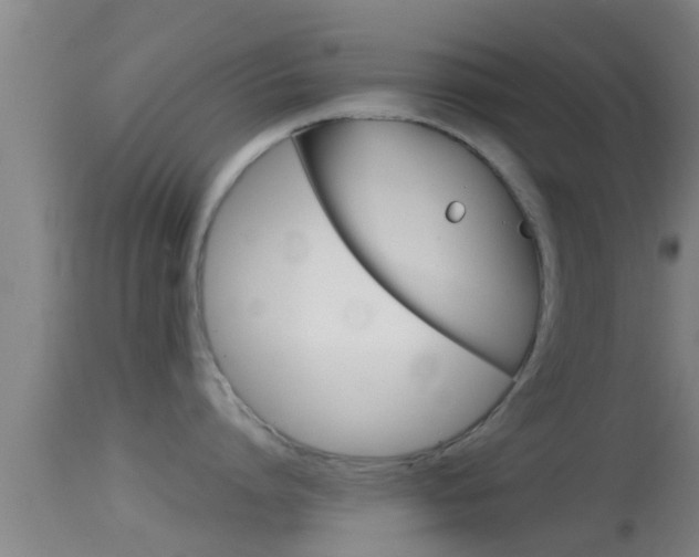 X0000114390864200910161031