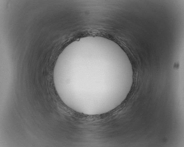 X0000114390865200910161030