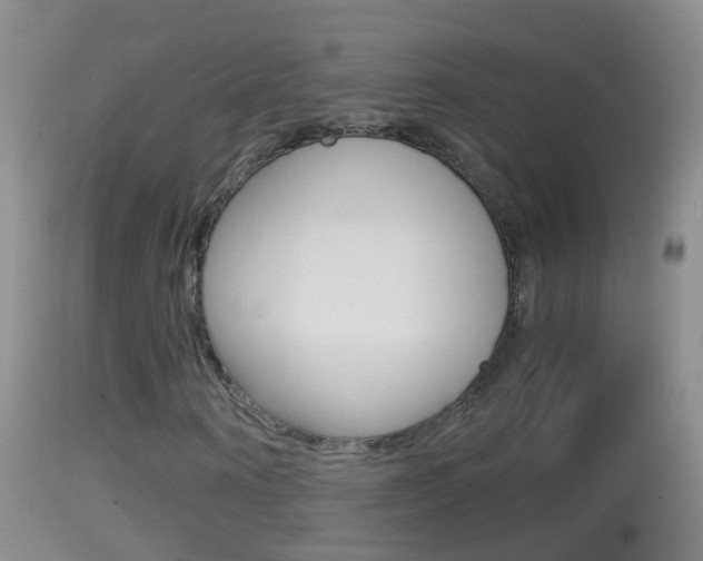 X0000114390866200910161030