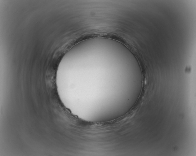 X0000114390867200910161030