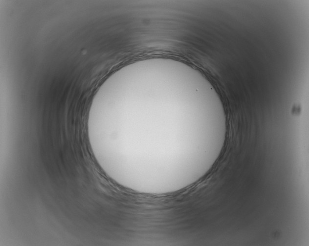 X0000114390868200910161030
