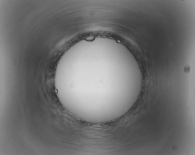X0000114390869200910161030