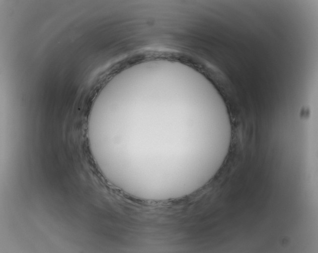 X0000114390870200910161030