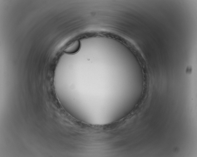 X0000114390871200910161030