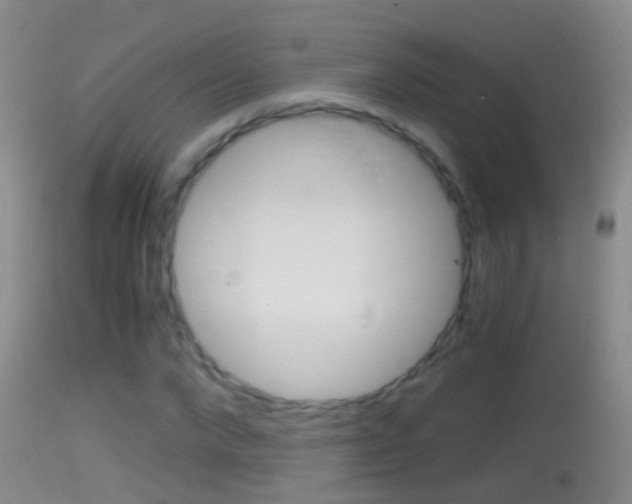 X0000114390872200910161030