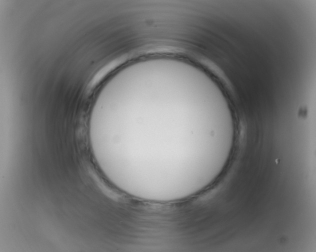 X0000114390874200910161030