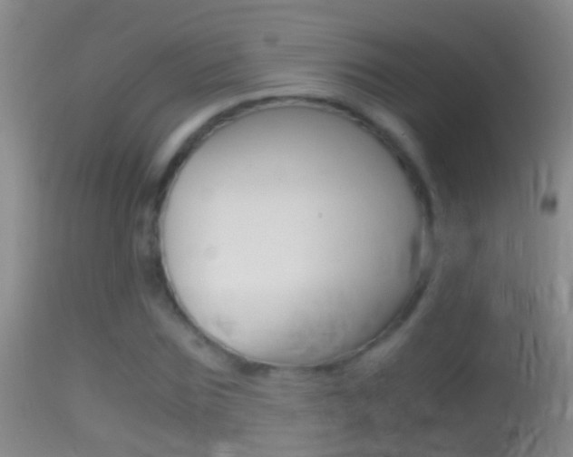X0000114390875200910161030