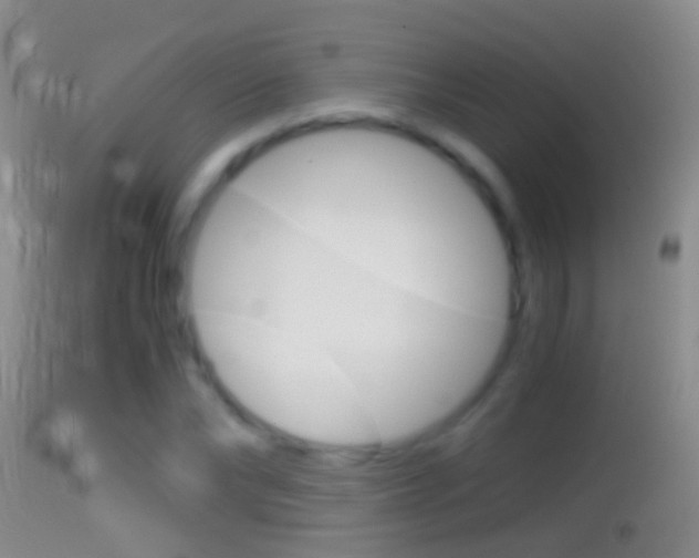 X0000114390878200910161030