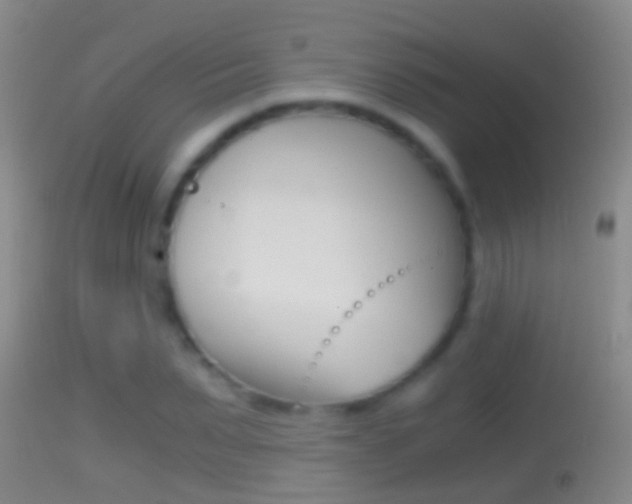 X0000114390879200910161030