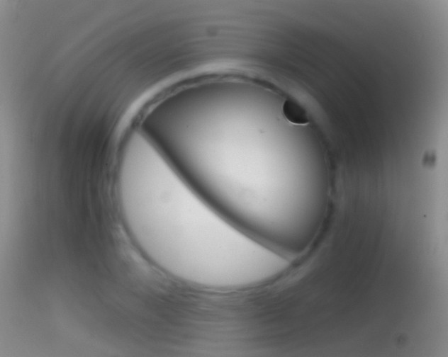 X0000114390880200910161030