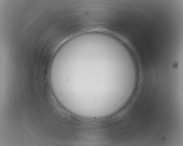 X0000114390881200910161030