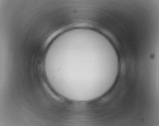 X0000114390882200910161030