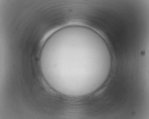 X0000114390885200910161030