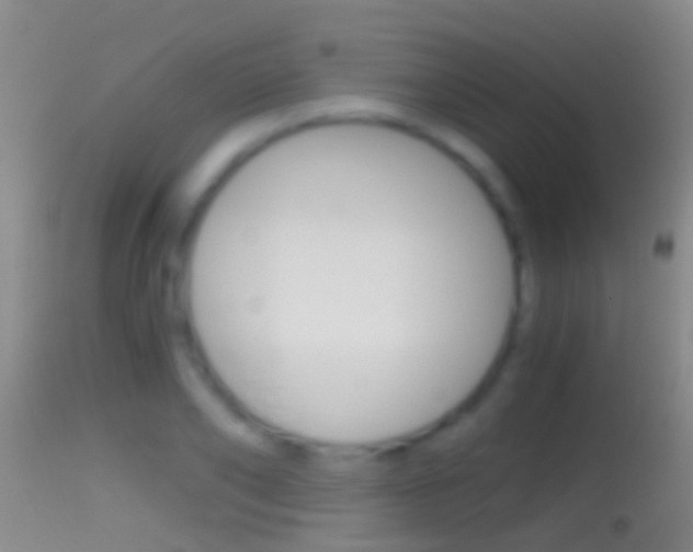 X0000114390886200910161030