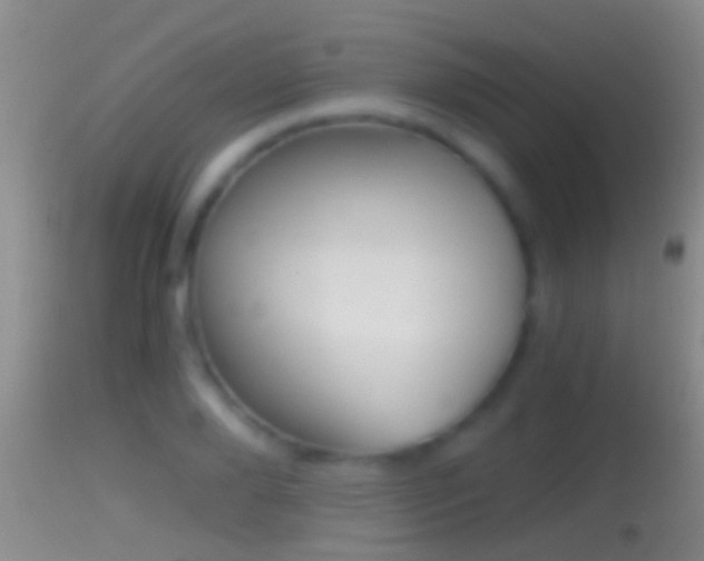 X0000114390888200910161030
