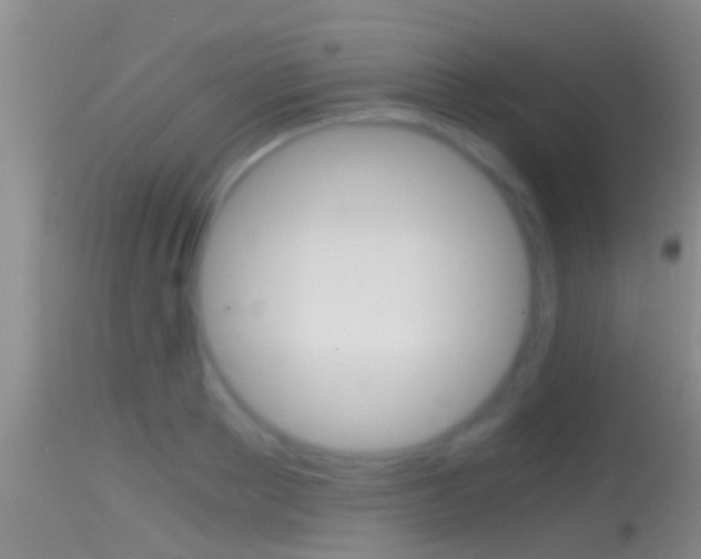 X0000114390889200910161030
