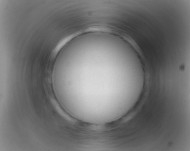 X0000114390893200910161030