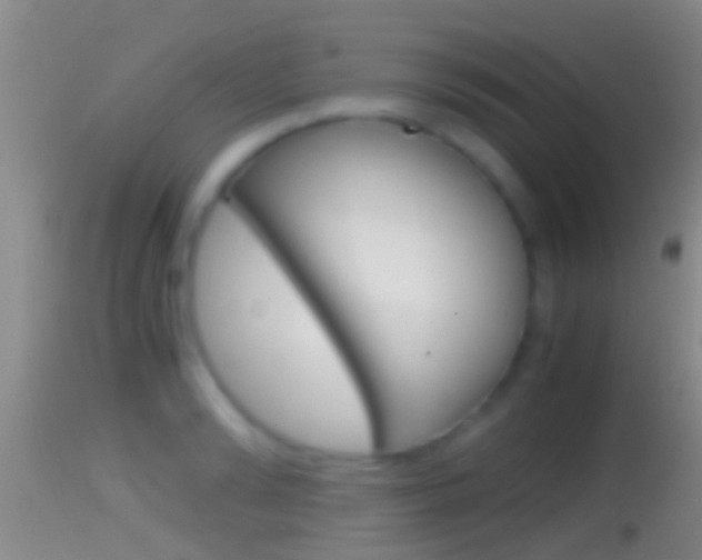 X0000114390894200910161030