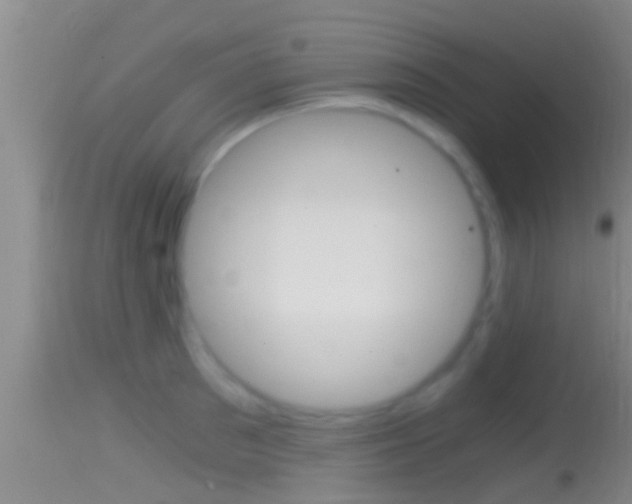 X0000114390897200910161029