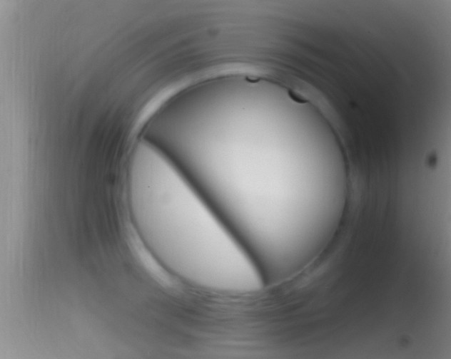 X0000114390898200910161029