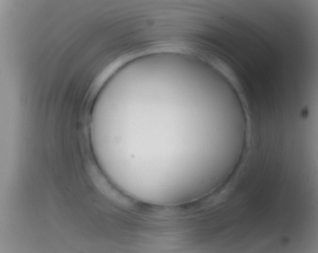 X0000114390899200910161029