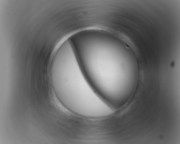 X0000114390900200910161029