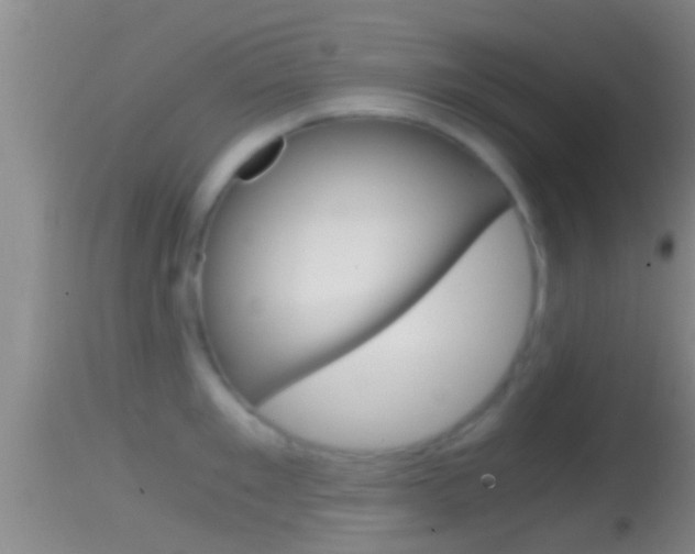 X0000114390901200910161029