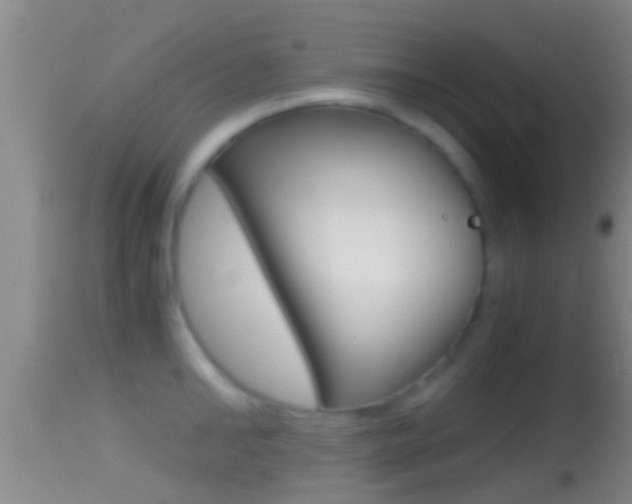 X0000114390902200910161029