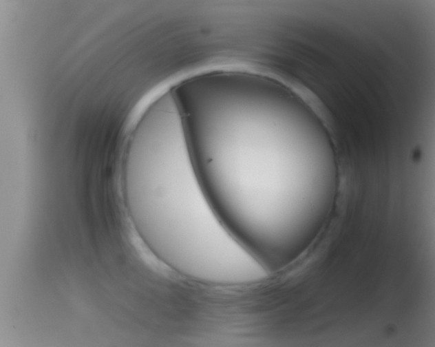 X0000114390904200910161029