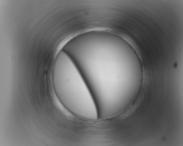 X0000114390906200910161029
