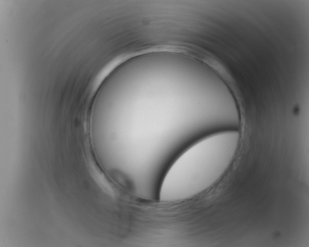 X0000114390907200910161029
