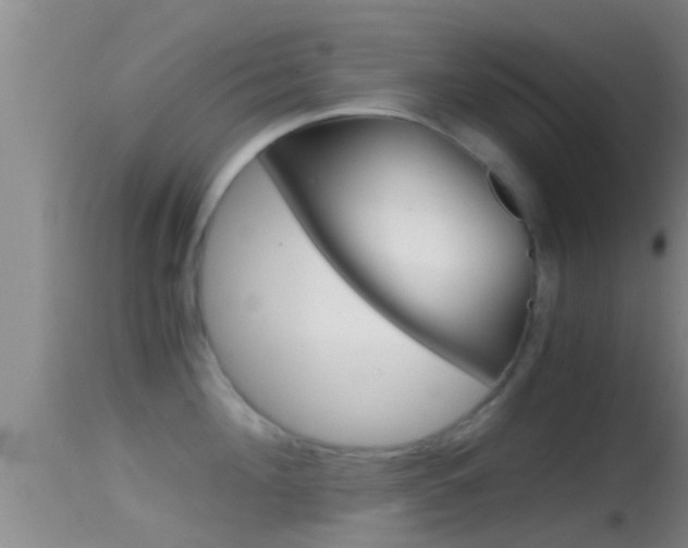 X0000114390908200910161029
