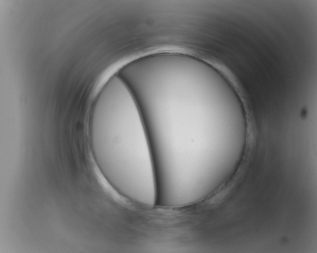 X0000114390910200910161029