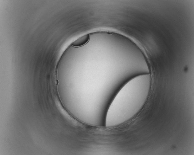 X0000114390911200910161029
