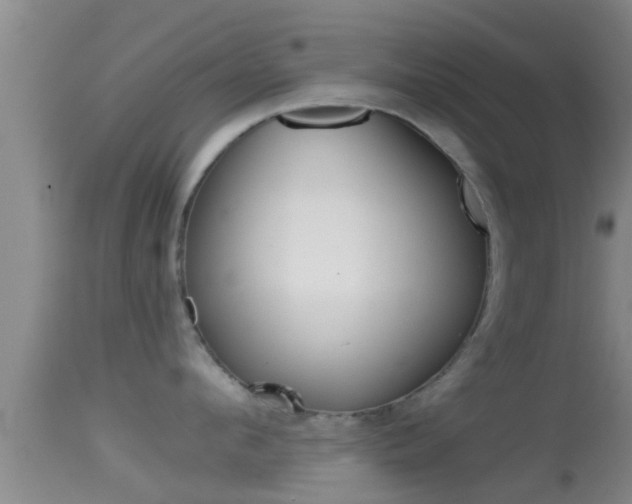 X0000114390912200910161029