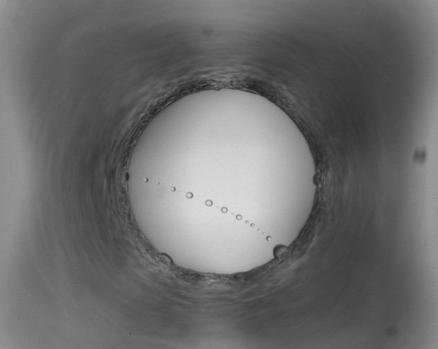 X0000114390913200910161028