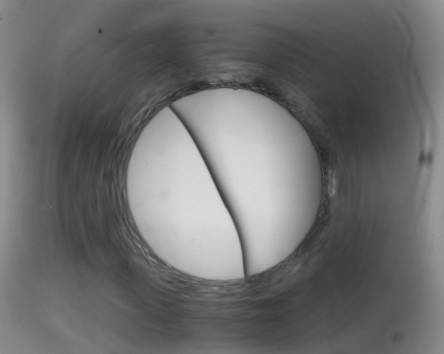 X0000114390915200910161028