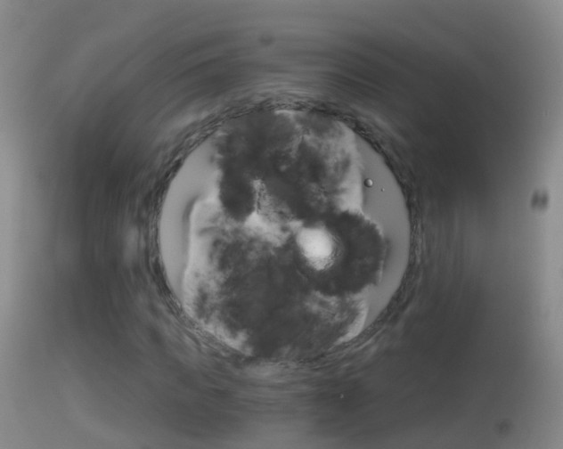 X0000114390917200910161028
