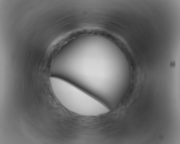 X0000114390919200910161029