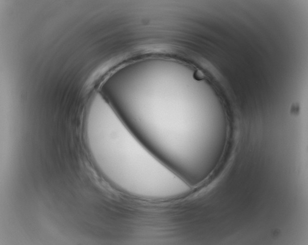 X0000114390922200910161029