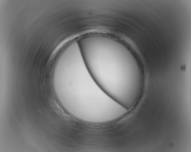 X0000114390923200910161029