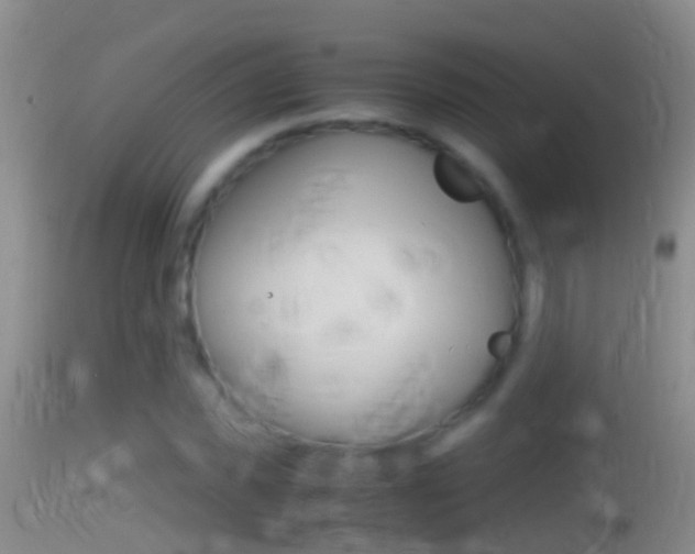 X0000114390925200910161029