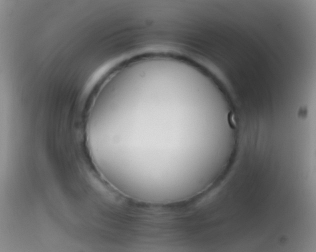 X0000114390927200910161029