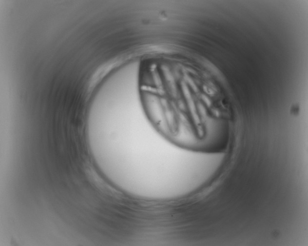 X0000114390930200910161029