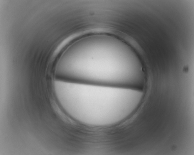 X0000114390934200910161029