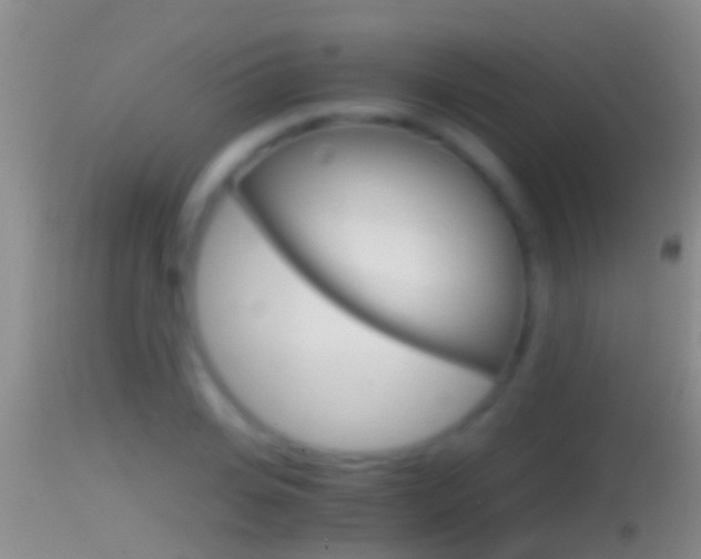 X0000114390935200910161029