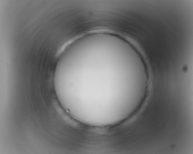 X0000114390937200910161029