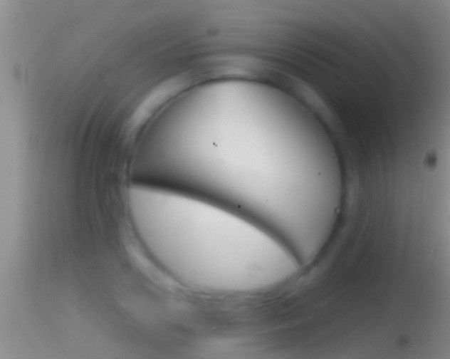 X0000114390938200910161029