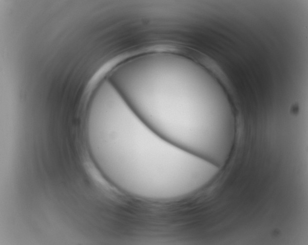 X0000114390939200910161029